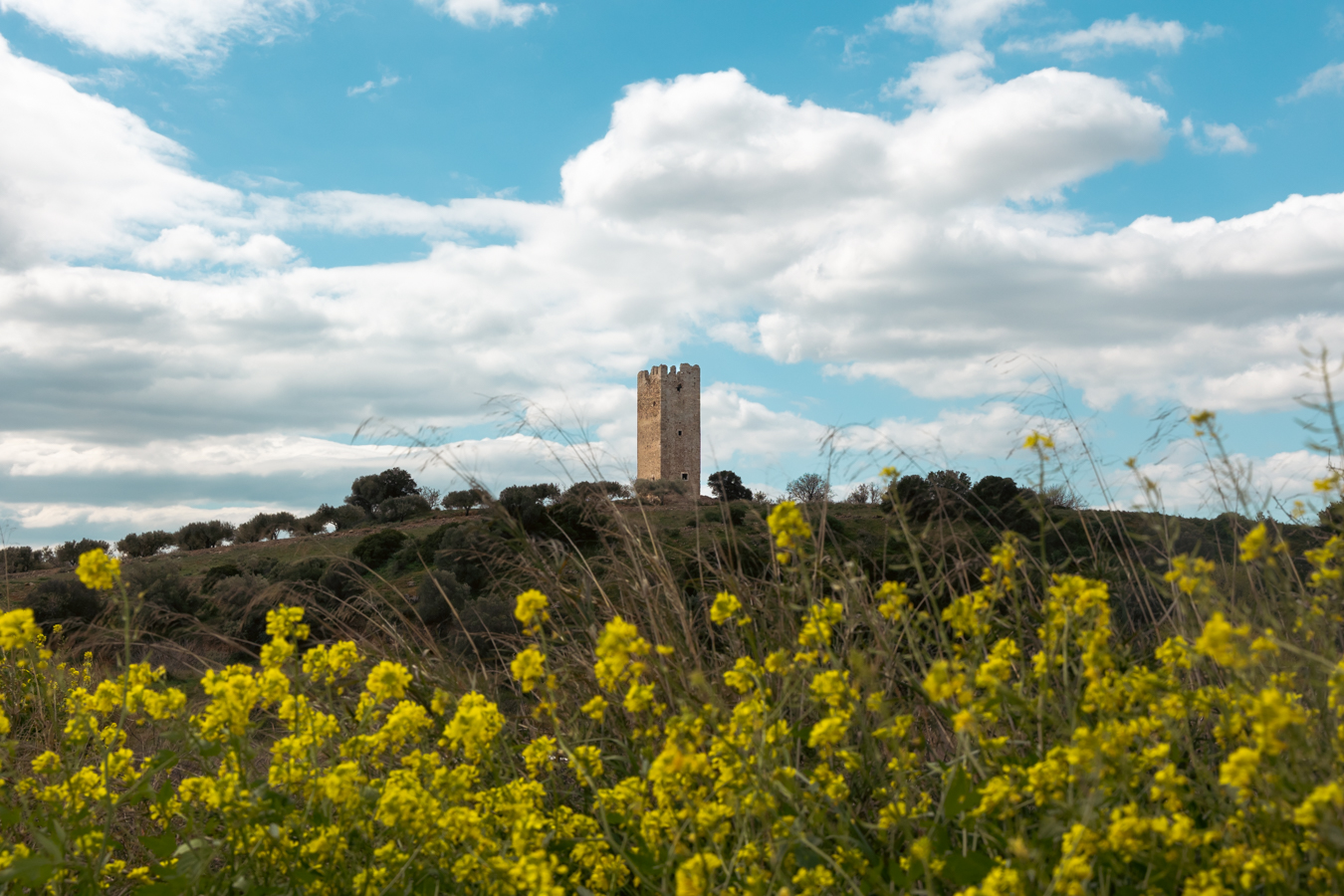 The Vravrona Tower, standing amid vineyards and olive grows