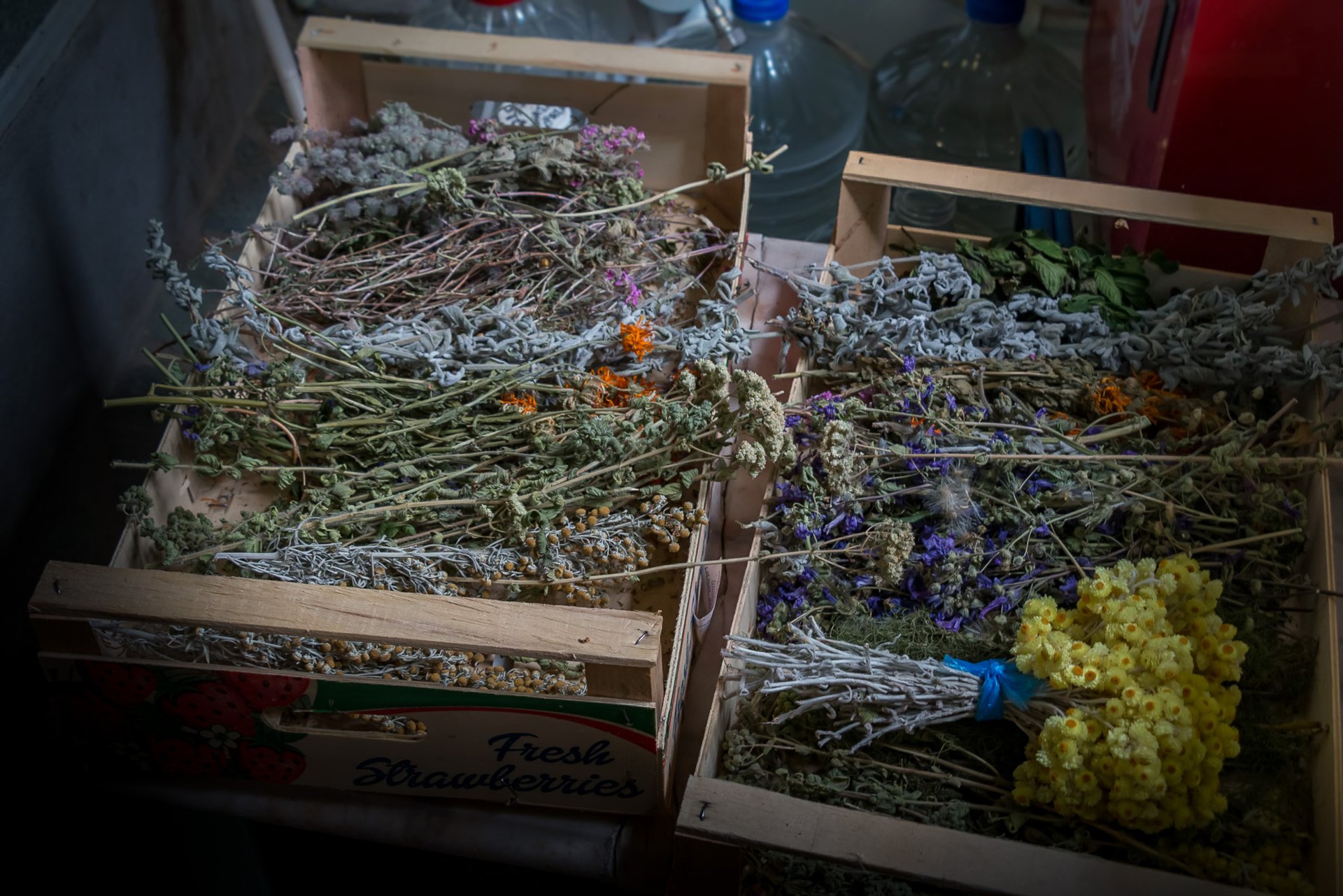 Organic local products of Amorgos - Photo by SteMajourneys