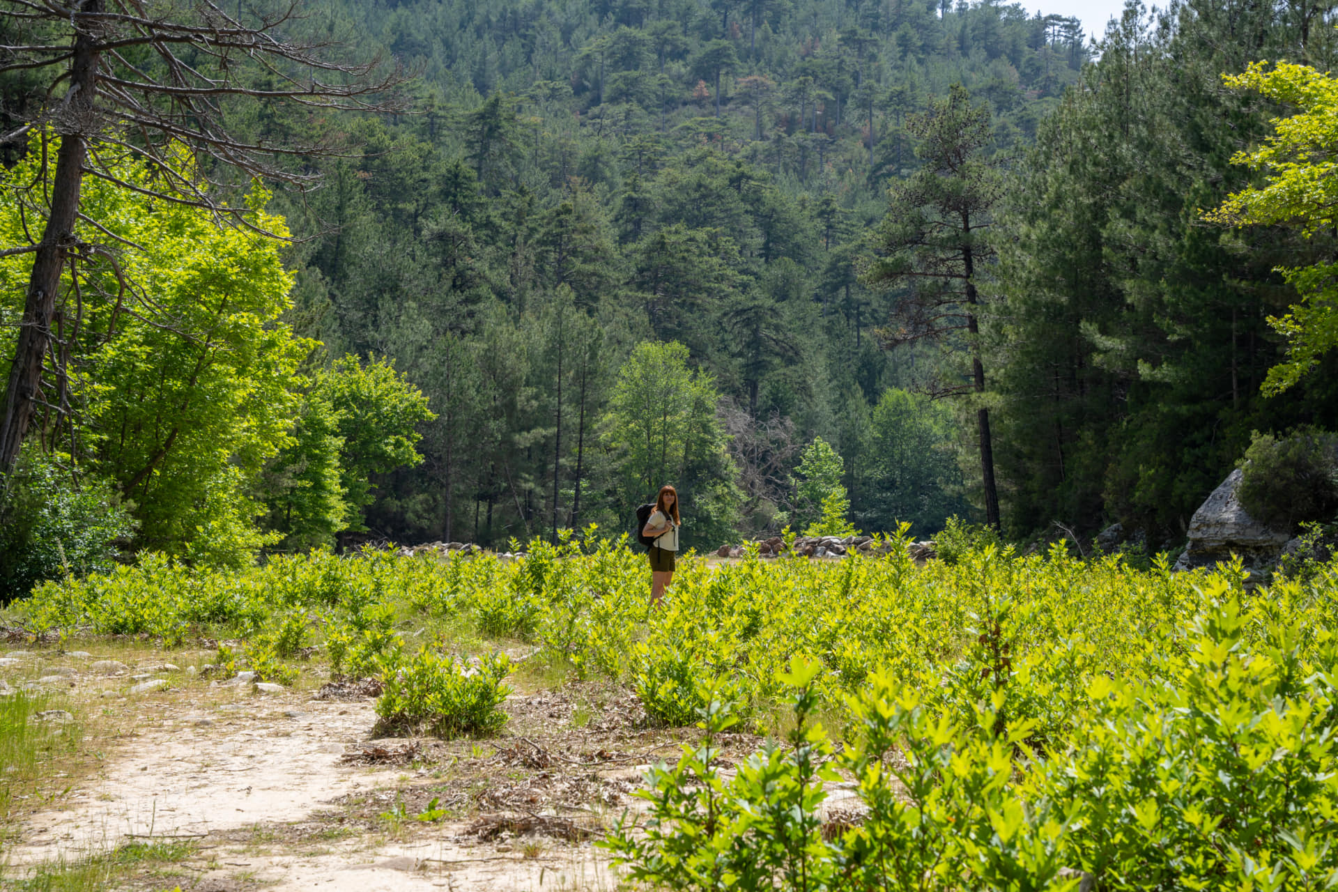 The green heart of Thassos