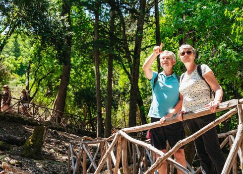 Rhodes: Half-day Tour to Filerimos Hill & Valley of Butterflies