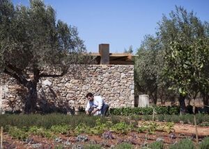 cooking-lesson-farm-tour-attica-logo