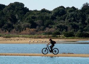 e-bike-tour-ancient-messene-way-1-logo