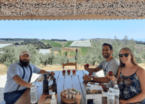 from-olive-groves-to-vineyards-a-gastronomic-day-trip-to-the-peloponnese-logo