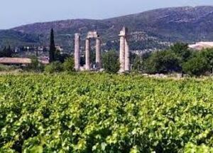 nemea-wine-experience-and-nafplion-private-tour-from-athens-logo