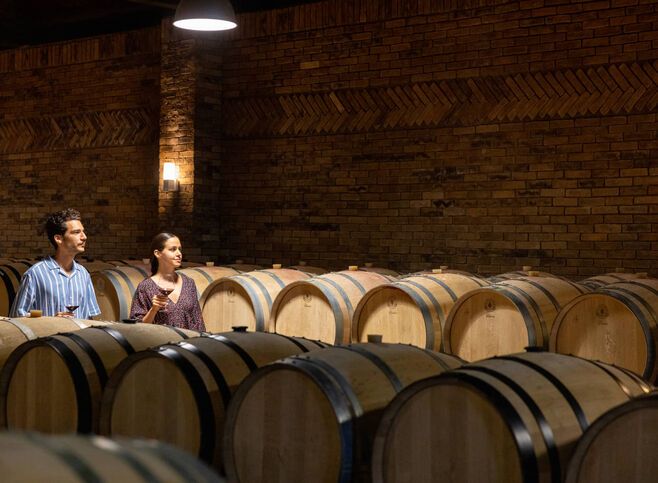 A tour of the cellar of a winery near Kavala