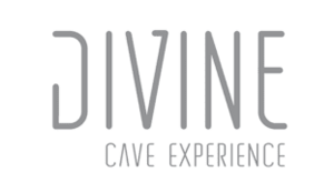 DIVINEC-logo