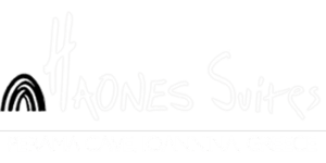 HAONES-logo