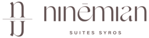 NINEMIAN-logo