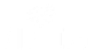 VILLALOUIS-logo