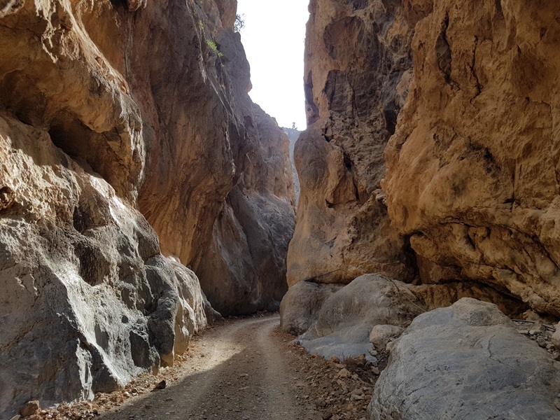 Herakleion: Agiofarago Gorge, Famous Monasteries and Matala Tour