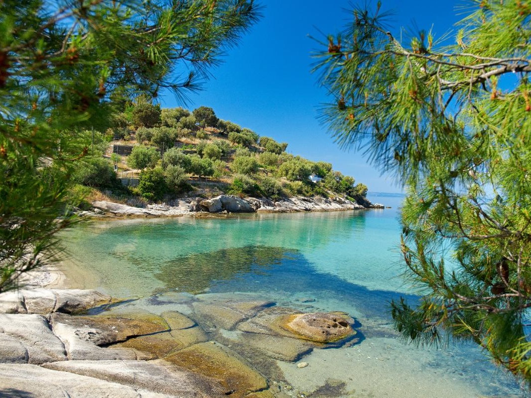 Halkidiki: Fishing Day Cruise on a Sailing Yacht