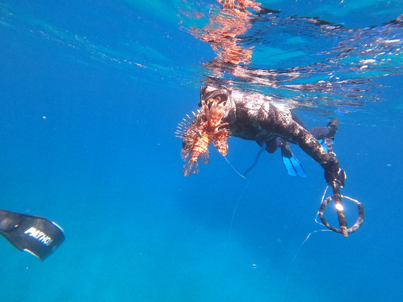 Half Day Spearfishing Trip - Chania