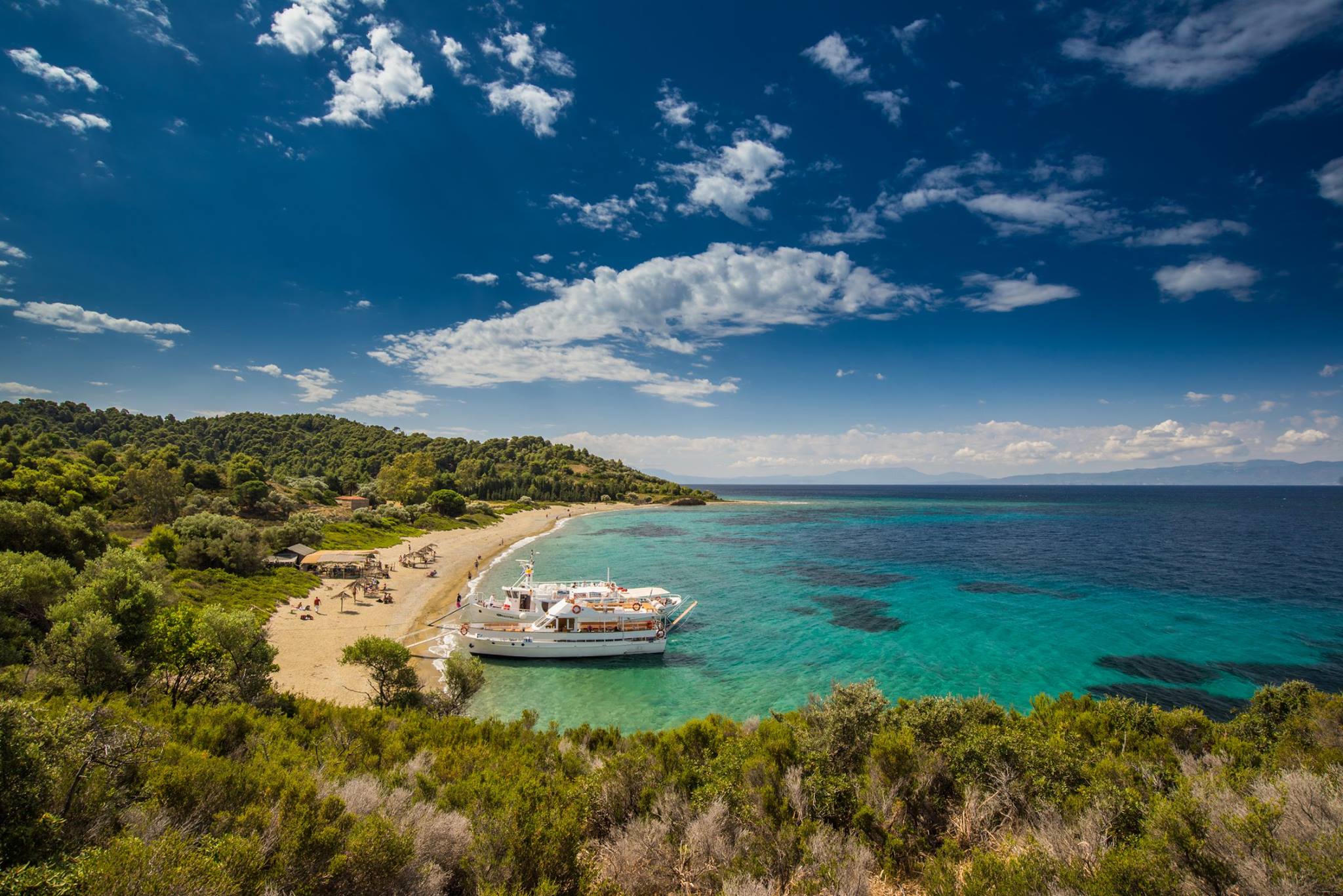 From Skiathos: Private boat trip to Tsougrias, Arkos & Repi