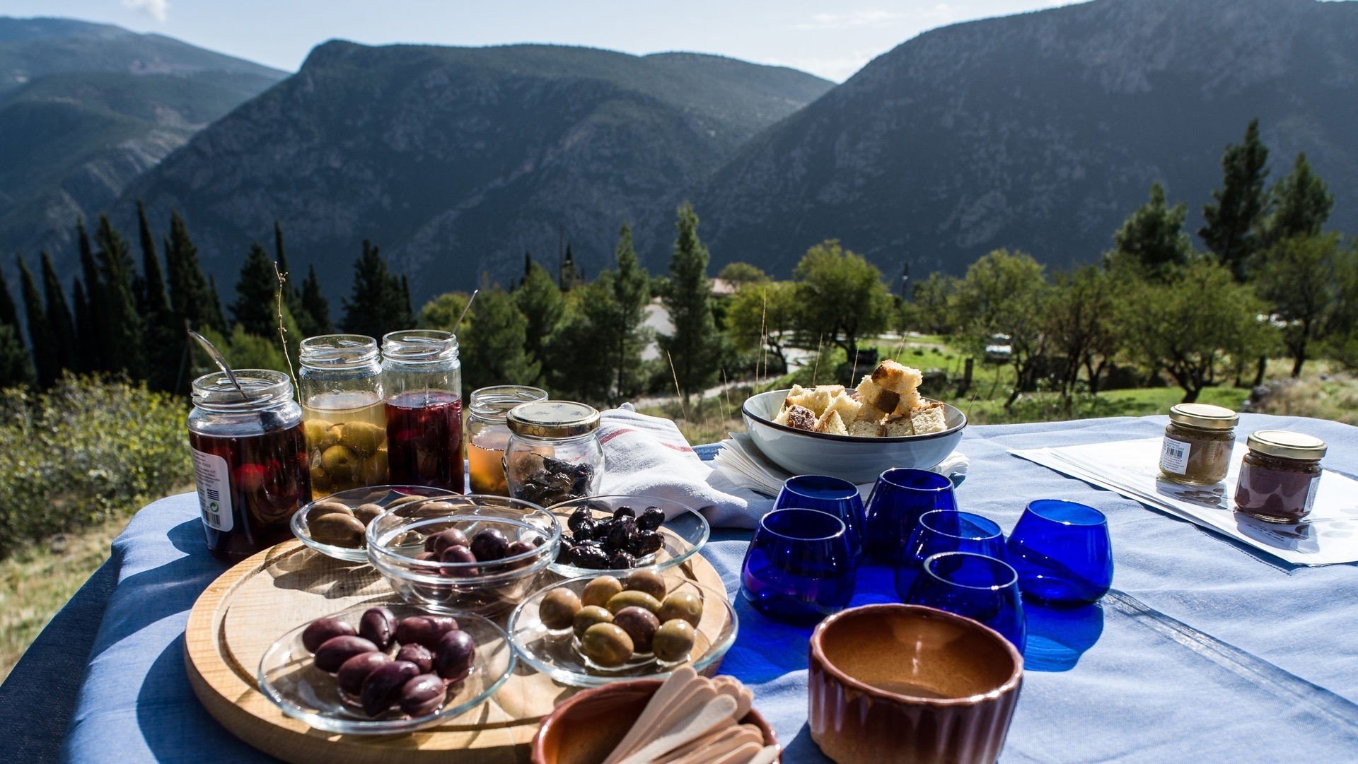 delphi-ancient-olive-grove-tasting-workshop-logo