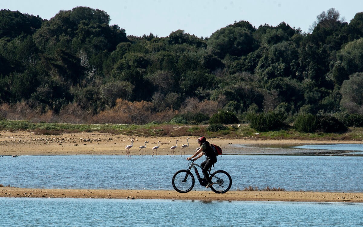 e-bike-tour-ancient-messene-way-1-logo