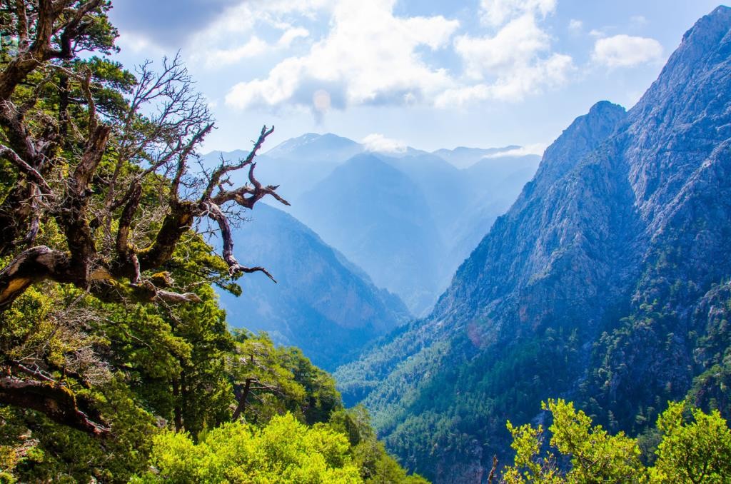 hike-the-second-most-famous-gorge-in-chania-with-our-local-mountain-guide-explore-nature-and-learn-about-the-cretan-flora-fauna-1-logo